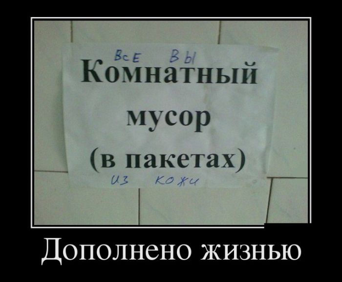 Картинки прикольные и фразы в подборке демотиваторов.