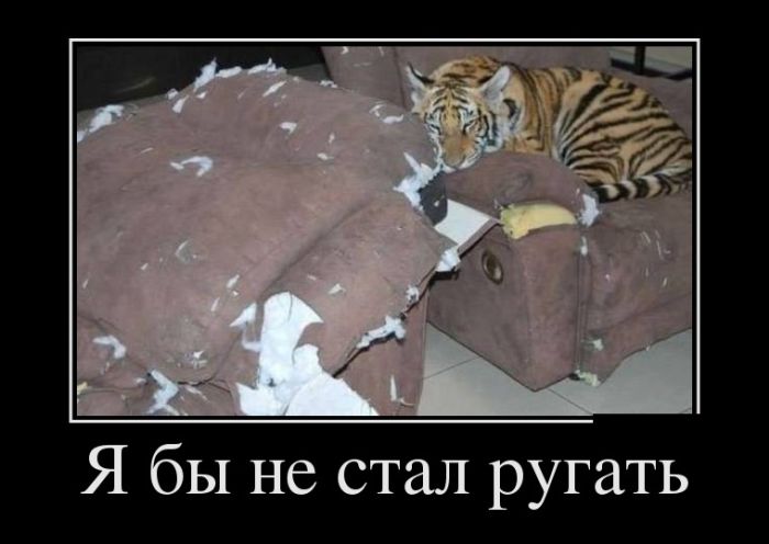 Супер демотиваторы, картинки и прикольный текст.