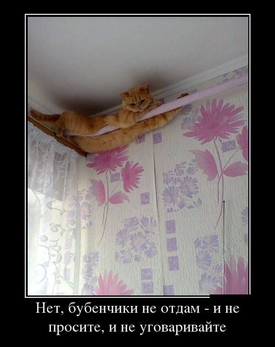 Лучшие демотиваторы на самые прикольные темы.