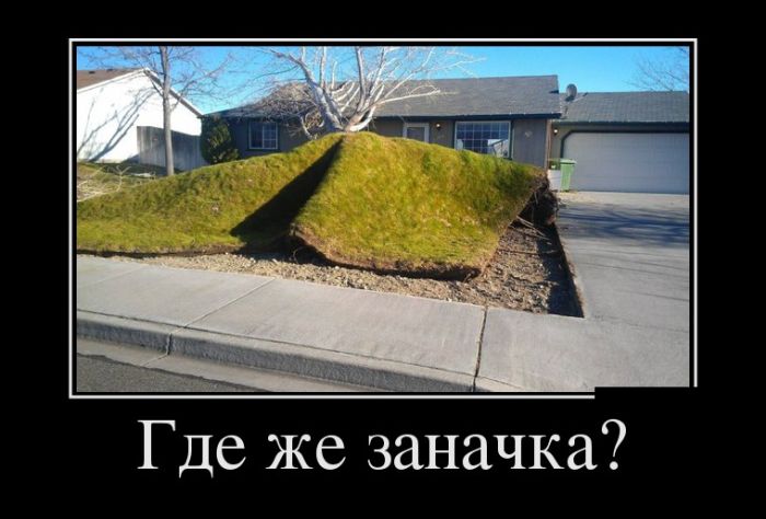 Самые смешные демотиваторы в подборке приколов.