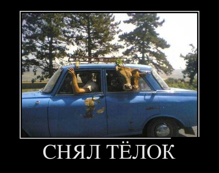 Демотиваторы. смотри их полностью.