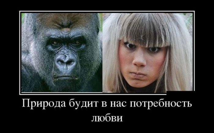 Демотиваторы, начни свой день правильно.