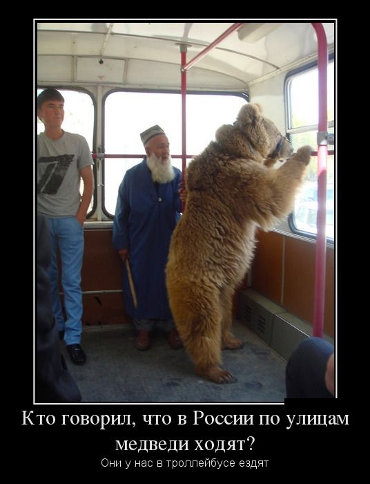 Приколы и цитаты в демотиваторах.