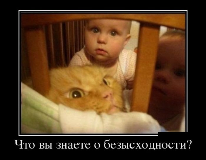 Весёлые демотиваторы.