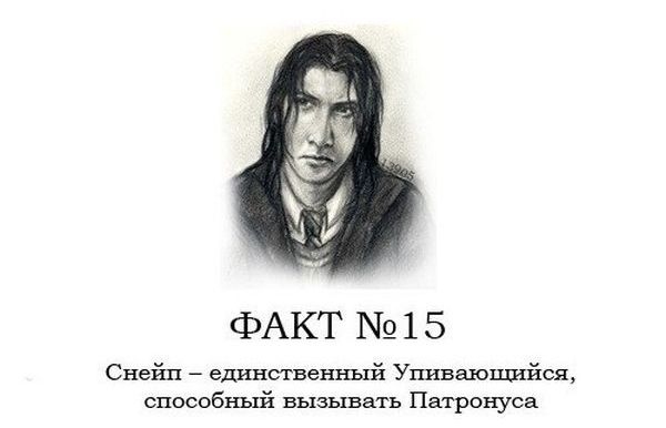 Интересные факты о Гарри Поттере.