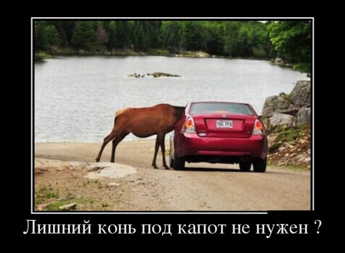 Представляю Вашему вниманию Демотиваторы.