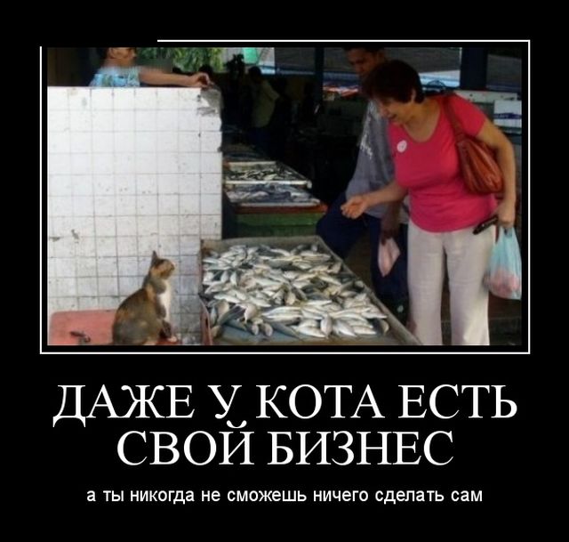 Прикольные демотиваторы и все у нас будет.