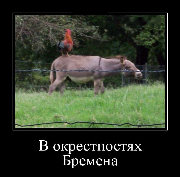 Демотиваторы для смеха
