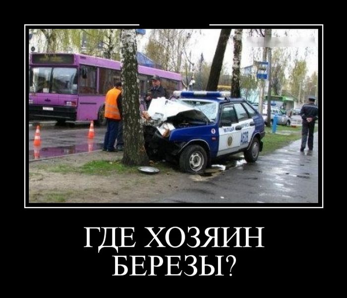 Прикольные демотиваторы, новые картинки с фразами.