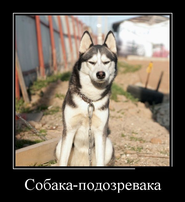 Демотиваторы смешные про девушек, и другие с юмором.