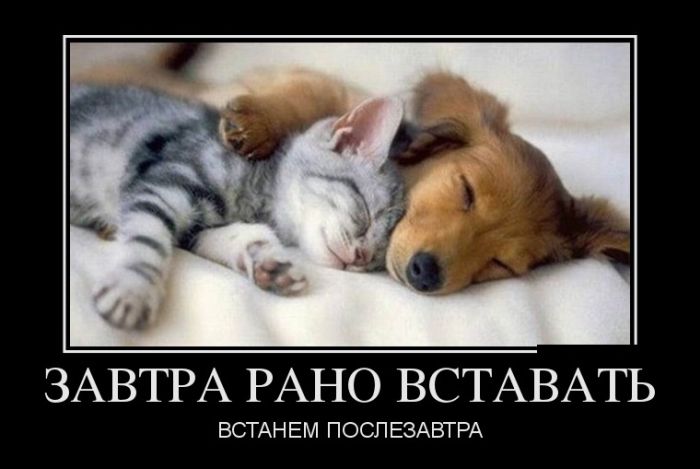 Прикольные демотиваторы, новые.
