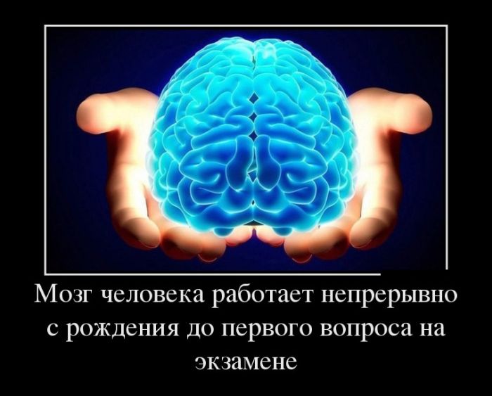 Демотиваторы прикольные, позитив дня.