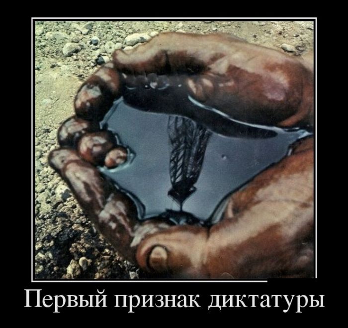 Приколы новые демотиваторы, смешные фразы и картинки.