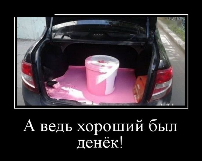 Картинки прикольные и фразы в подборке демотиваторов.