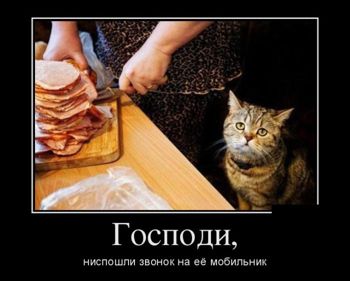Демотиваторы, позитивней товарищи, позитивней.
