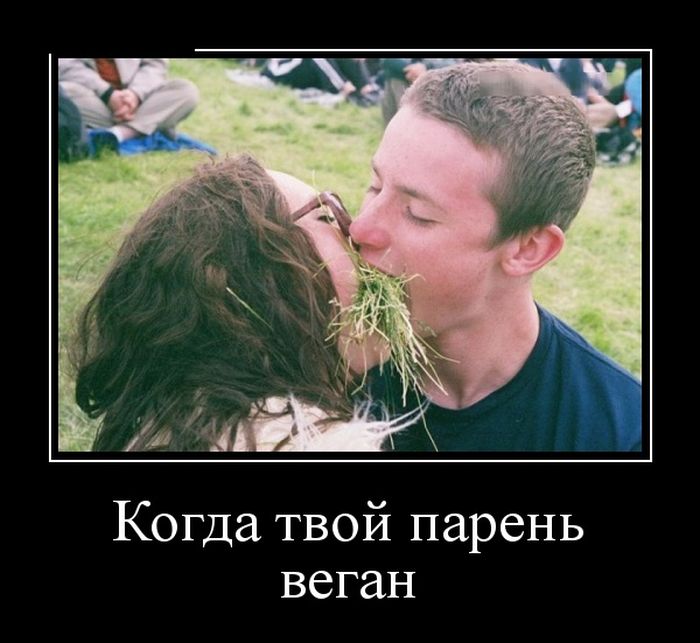 Новый демотиватор, в количестве 23 шт.