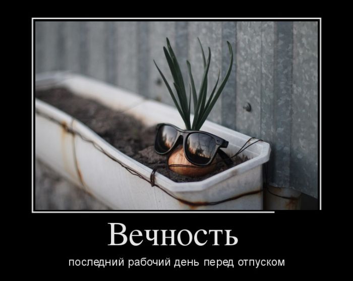Демотиваторы. смотри их полностью.