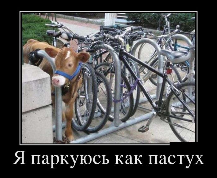 Демотиваторы и чашка крепкого кофе, вот что с утра нужно.