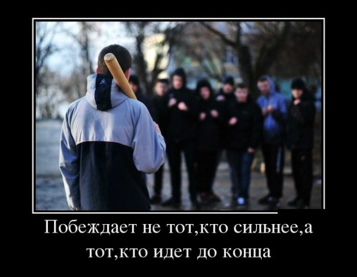 Приколы и цитаты в демотиваторах.