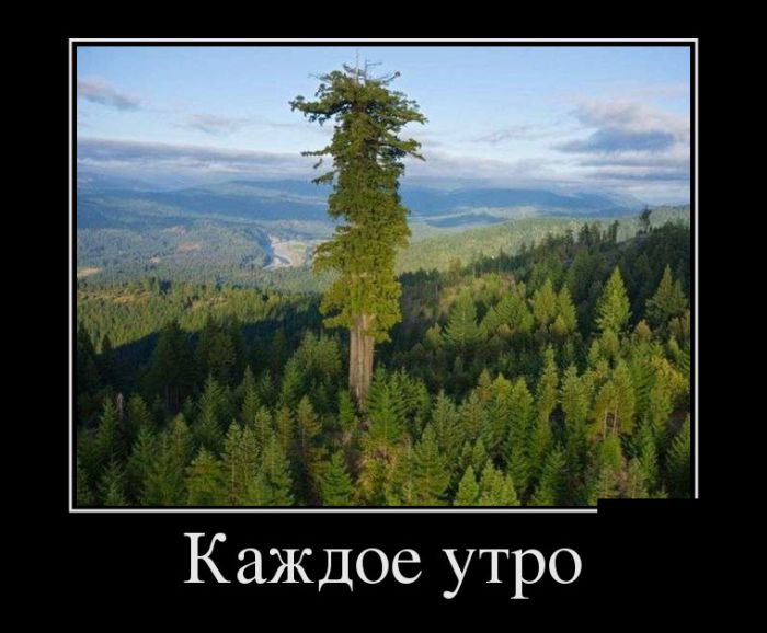 Демотиваторы, позитив и приколы повсюду.