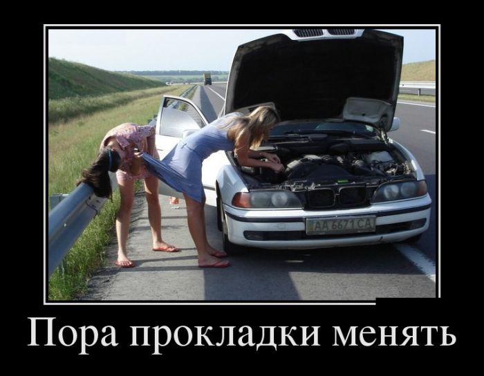 Прикольные демотиваторы сделают твой день.
