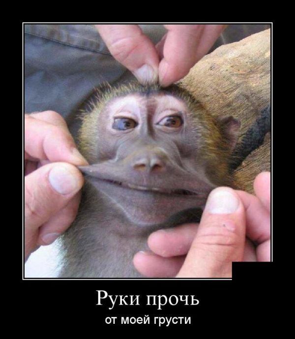 Демотиваторы веселенькие, для поднятия.