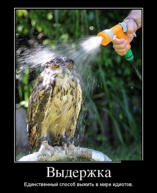 Новые демотиваторы, приколы без очереди.