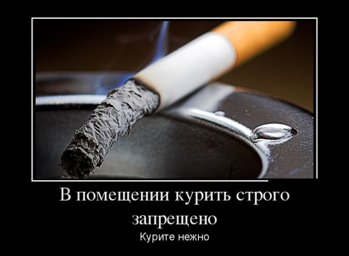 Прикольные демотиваторы это не капуста.
