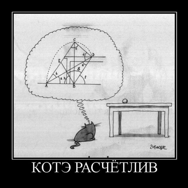 Представляю Вашему вниманию Демотиваторы.