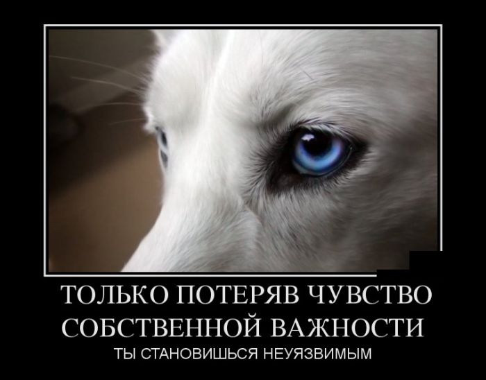 Демотиваторы дня, будет смешно.