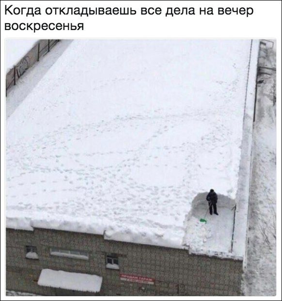 Прикольные картинки (30 фото)