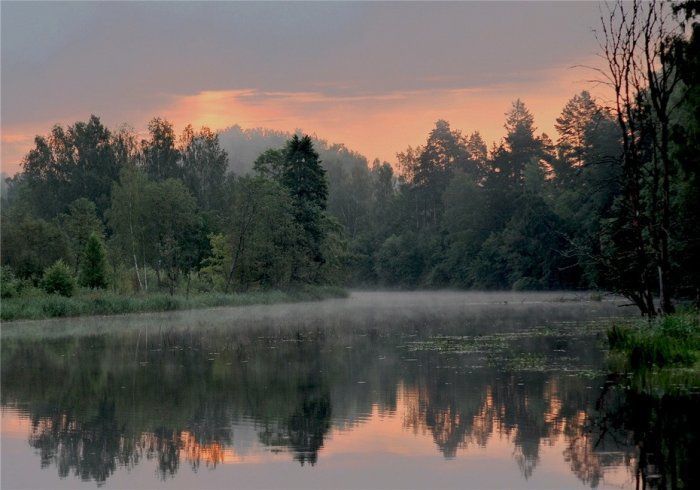 По настоящему красивая природа, все времена года на фото.