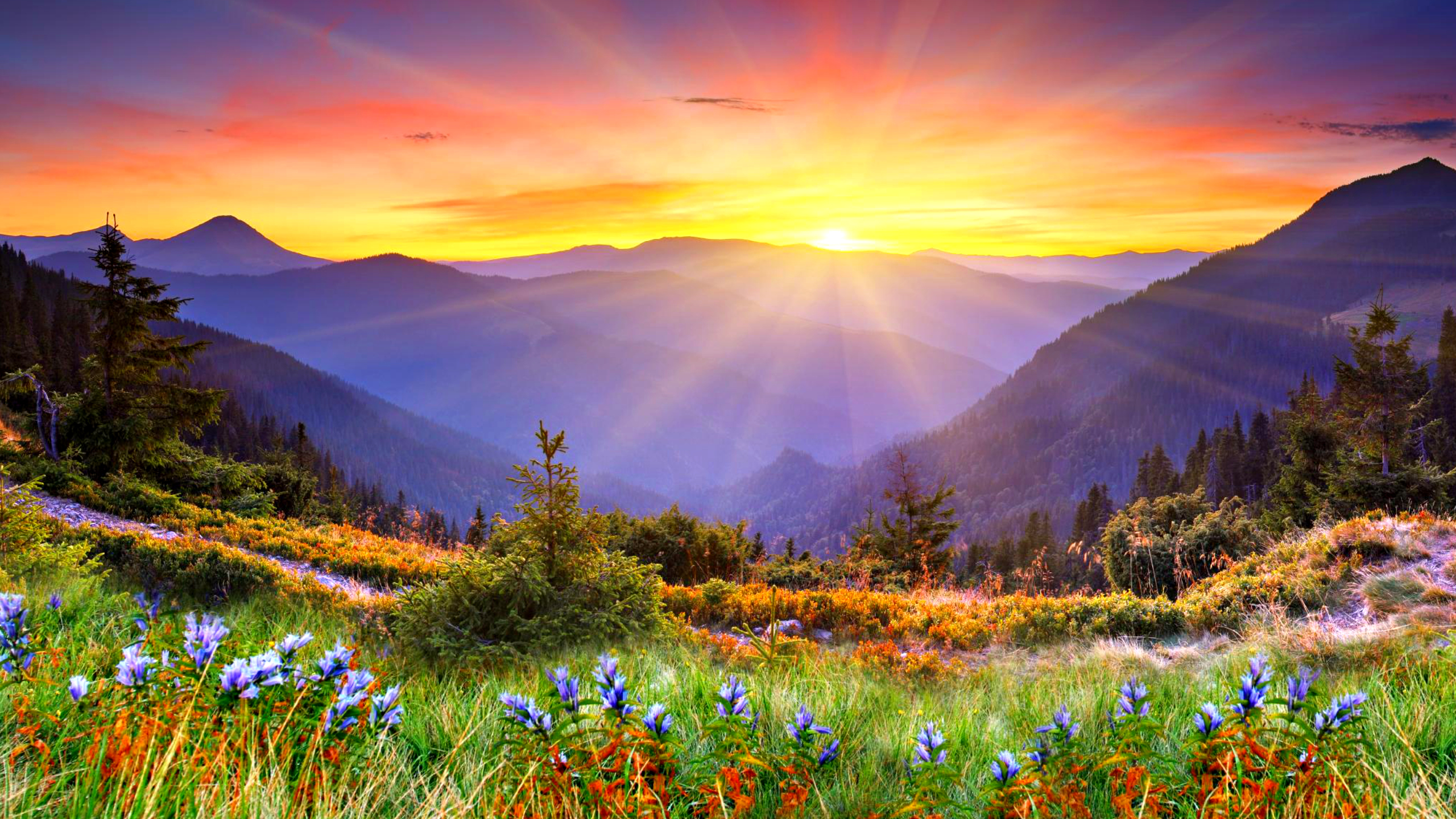 Beauty Fiction  Landscapes of  часть 1