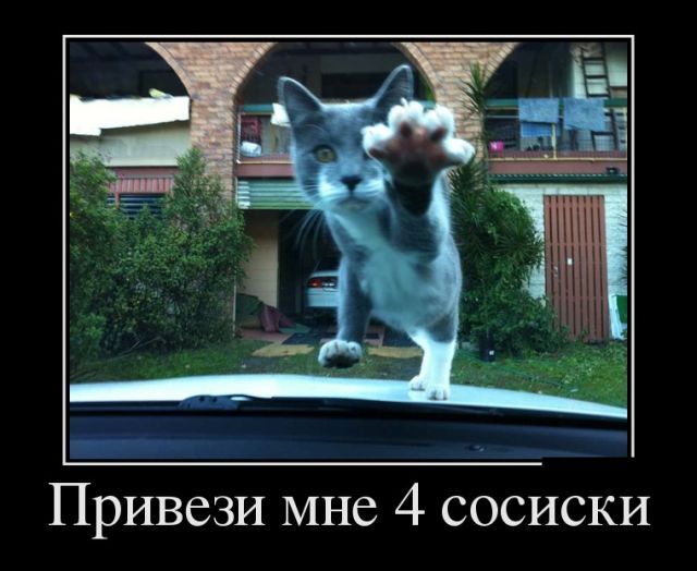 И снова демотиваторы.
