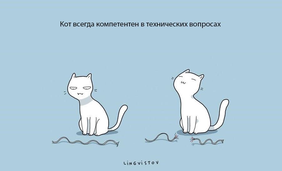Преимущество в том, что бы завести себе кошку
