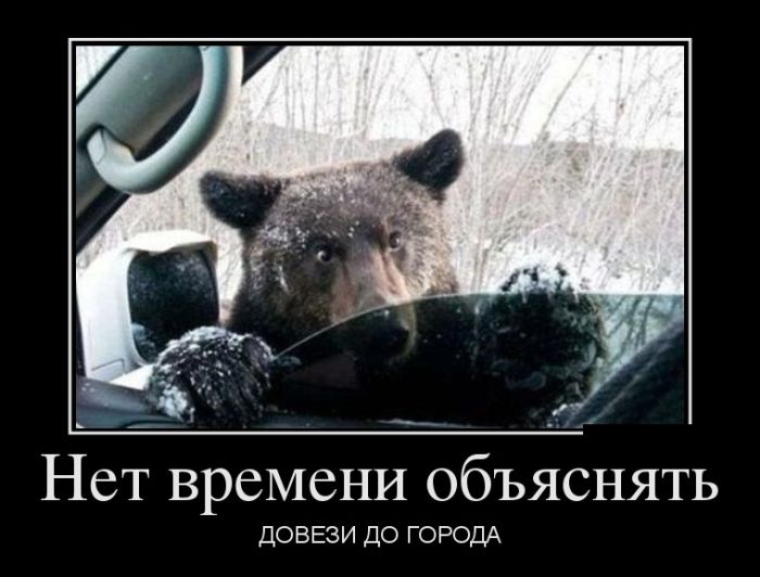 Убойные и прикольные демотиваторы.