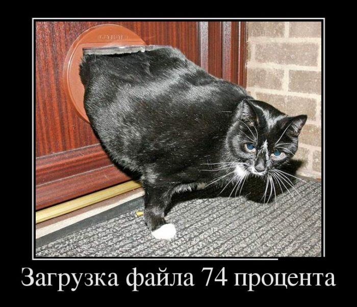 Новые демотиваторы, все больше приколов.
