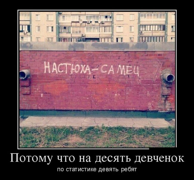 Демотиваторы приколись с новых.