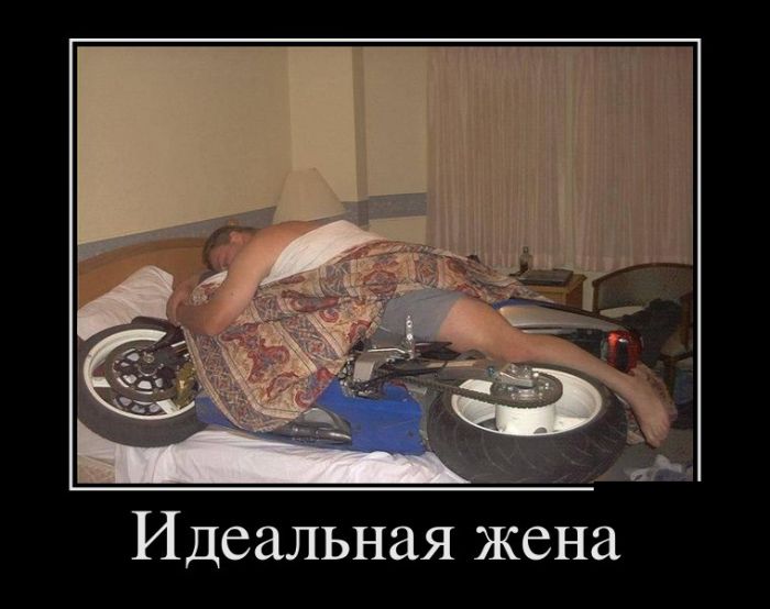 За день накопилось так много прикольных демотиваторов.