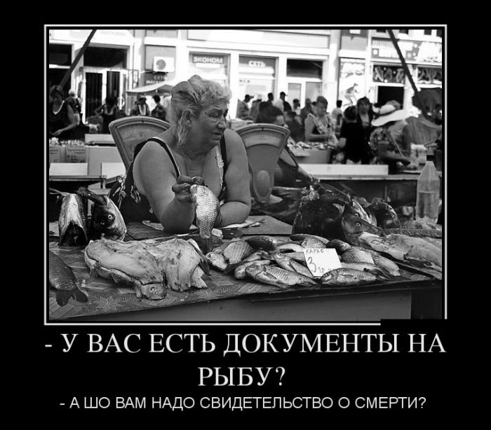 Демотиваторы ржачные и со смыслом.