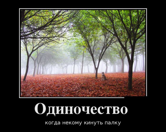 Демотиваторы новые на Ёжине.