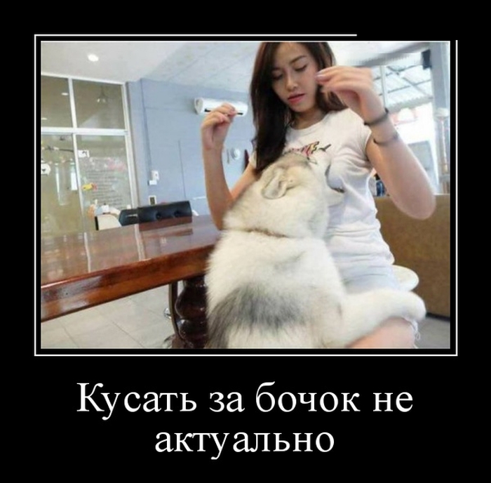Демотиваторы бывают разные, у нас они только прикольные.