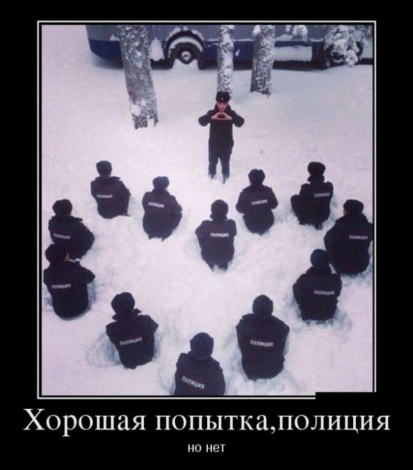 Картинки прикольные и фразы в подборке демотиваторов.