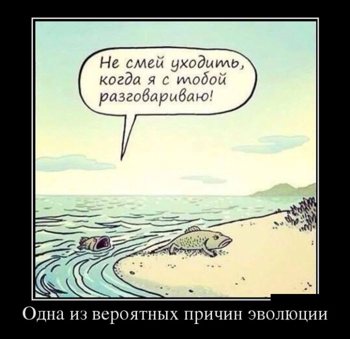 Новые демотиваторы, ну а куда без них.
