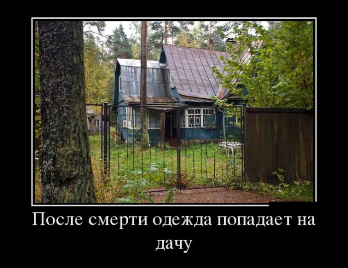 Все на дачу картинки прикольные