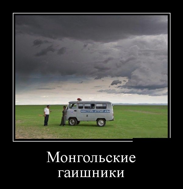 Демотиваторы, прикольные фотки и новые фразы.