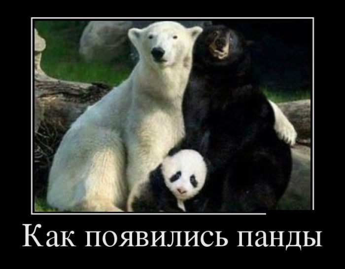 Демотиваторы, это прикольно не лишай себя удовольствия.