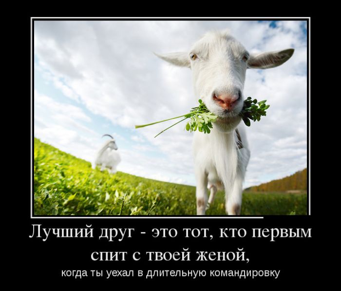 Прикольные демотиваторы сделают твой день.
