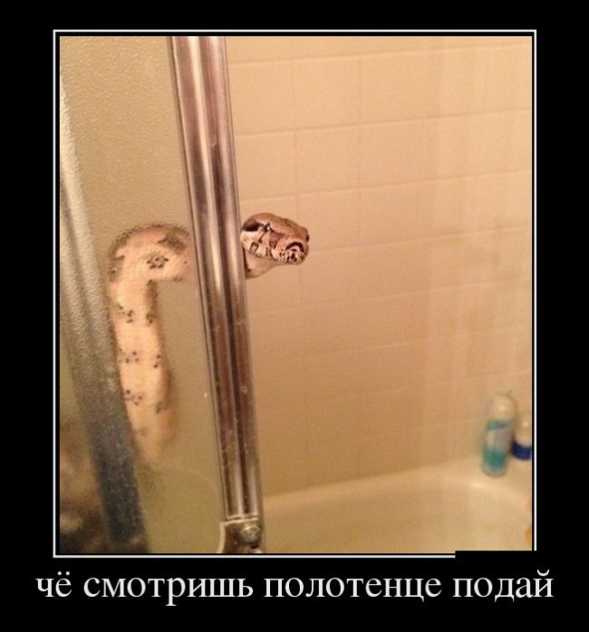 Демотиваторы, Класная подборка новых (22 фото)