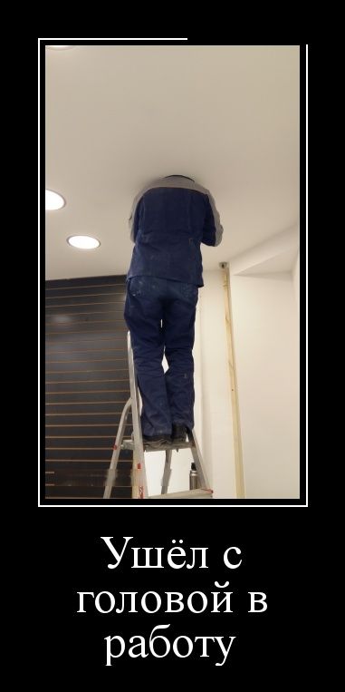 Новые приколы в демотиваторах, фразы и картинки.
